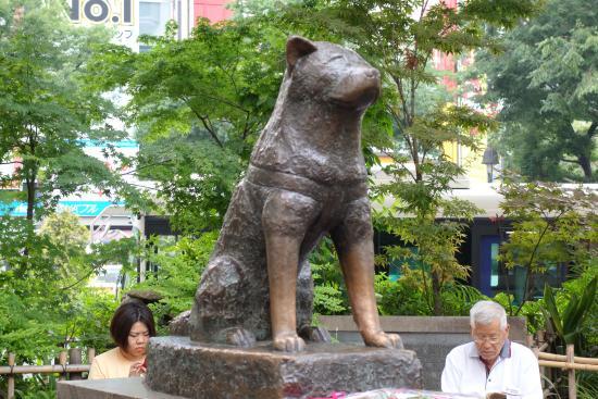 Hachikō